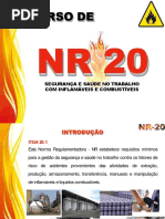 NR 20