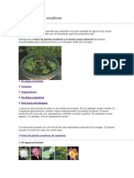 Tipos de Plantas Acuáticas