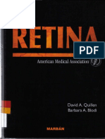 Retina