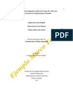 Ejemplo Marco Teórico PDF