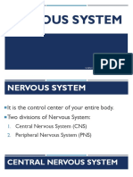 Nervous System: Science 6 - Second Quarter