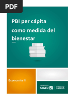 El PBI Per Capita