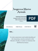 Dangerous Marine Animals