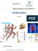 Tejido Óseo. Remodelacion