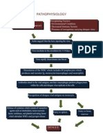 Dengue Pathophysiology