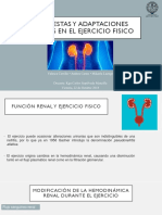 Adaptaciones Renales en El Ejercicio Fisico