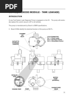 DM-TL (Diagnosis Module - Tank Leakage)