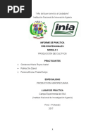 Informe Grupo 02