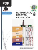 Petrofisica