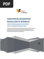 24 04 2018 Guia Docente Bgu Intensivo