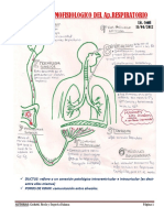 Kinesioterapia Torácica