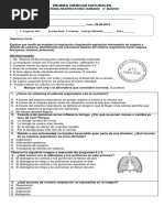 Prueba Sistema Respiratorio 5°