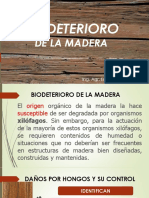 Bio-Deteriodo de La Madera