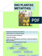 Reino Plantas - Metafitas 2345