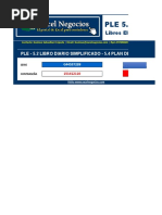 PLE 5.0 Libro Diario Simplificado 5.2 - 5.4 Macro B