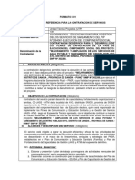 FORMATO #01 TDR SERVICIOS - Ayo