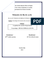 Memoire Gestion Des Carrieres