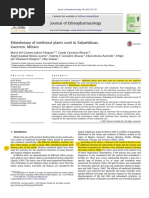 Ethnobotany of Medicinal Plants Used in Xalpatlahuac, Guerrero, México