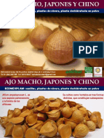 Ajo Macho Japones y Chino