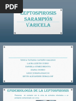 Leptospirosis Sarampión Varicela