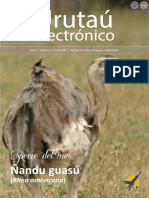 Revista - URUTAU ELECTRONICO - No 1 - ENERO 2013 PDF