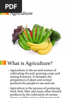 Agriculture New 190610123319