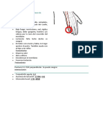 1 ID Punto 1 Del Meridiano de Intestino Delgado