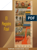 Registro Fosil