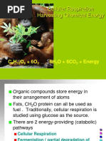 Cellular Respiration Harvesting Chemical Energy: 6H O + 6co + Energy C H O + 6O