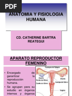 Clase 13 Aparato Reproductor Femenino