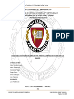 Proyecto Final de San Xavier Cyj PDF