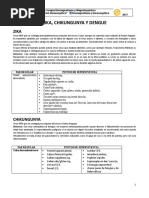 Manual Prog Bioenergética Rolando