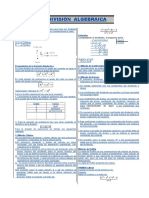 Division Algebraica