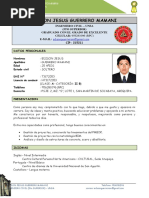 CV Edison Jesus Guerrero Mamani