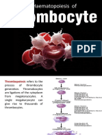 Trombopoiesis (3) - 1