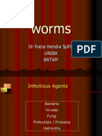 Worms: DR Putra Hendra SPPD Uniba Batam