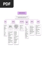 Mapa Conceptual NI