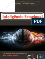 Inteligência Emocional 