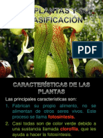 Caracteristicas de Las Plantas