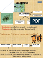 Plankton