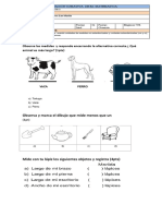 EVALUACIÓN Lomgitudes