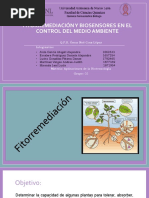 Fitorremediacion y Biosensores en El Control Del Medio Ambiente515