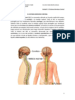 Sistema Nervioso Central