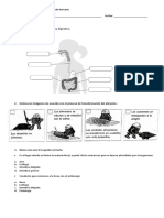 Examen Final de C. Naturales Grado Tercero - Tercer Periodo