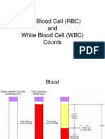 RBC&WBC Count