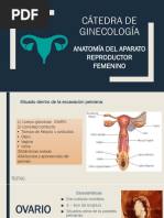 Anatomía Del Aparato Reproductor Femenino