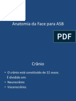 Anatomia Da Face para ASB