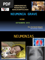 2019 Neumonia Grave