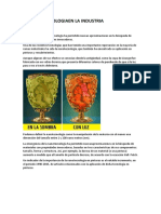 La Nanotecnologia en La Industria