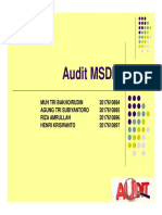 Audit SDM PDF